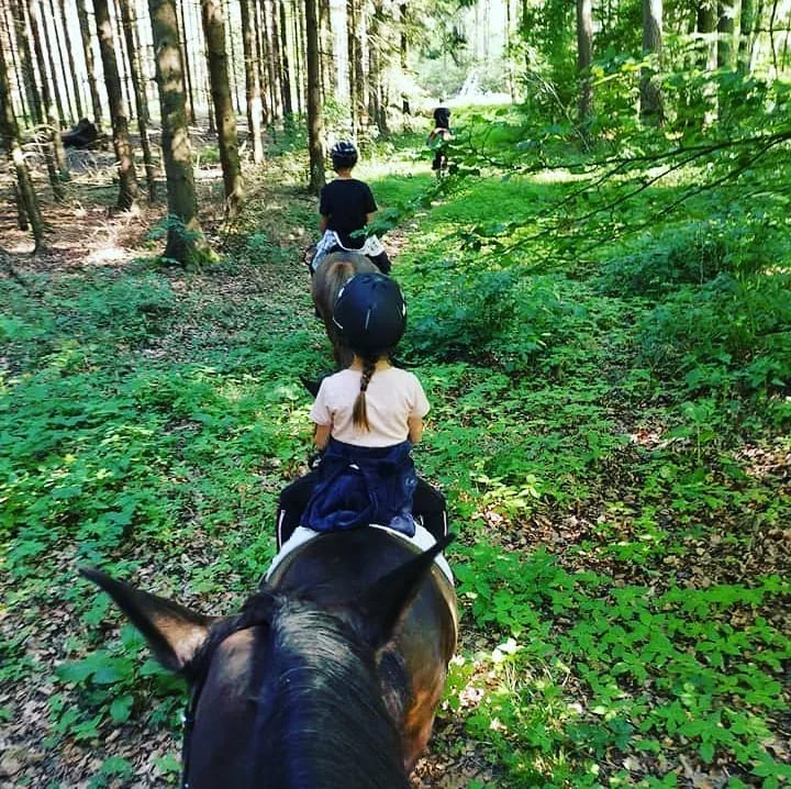 Sunday Funday!⠀ - Instagram Bild 1