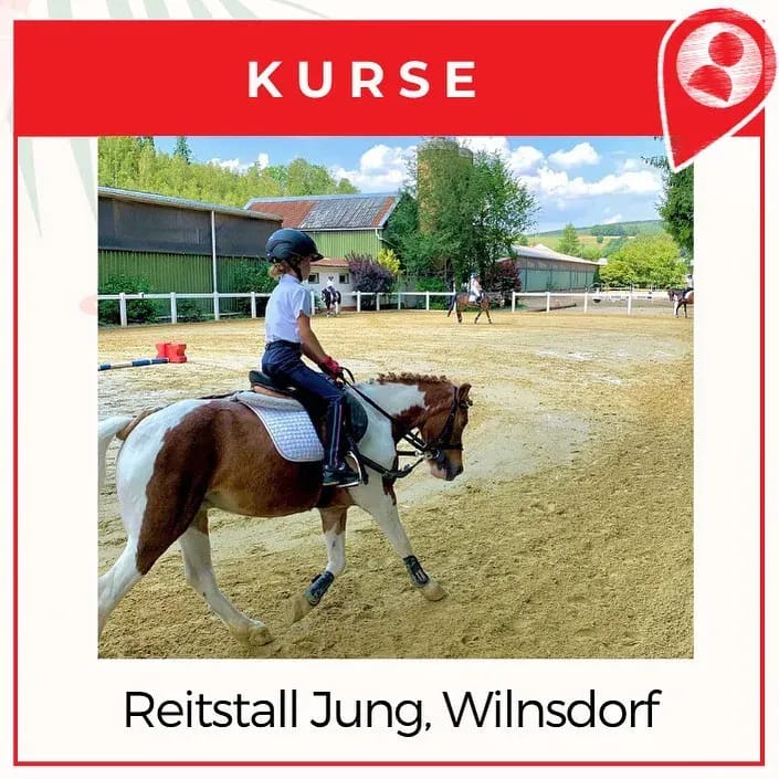 Reiten in den Ferien!⠀ - Instagram Bild 1