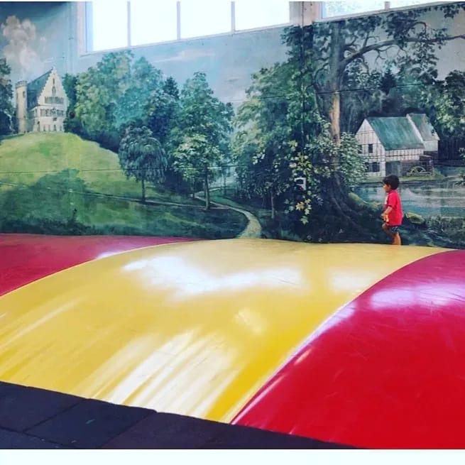 Heute sind wir wieder einmal im @affenundvogelparkeckenhagen! - Instagram Bild 1