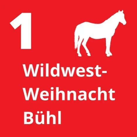 Wow der letzte Monat des Jahres hat begonnen!⠀ - Instagram Bild 1