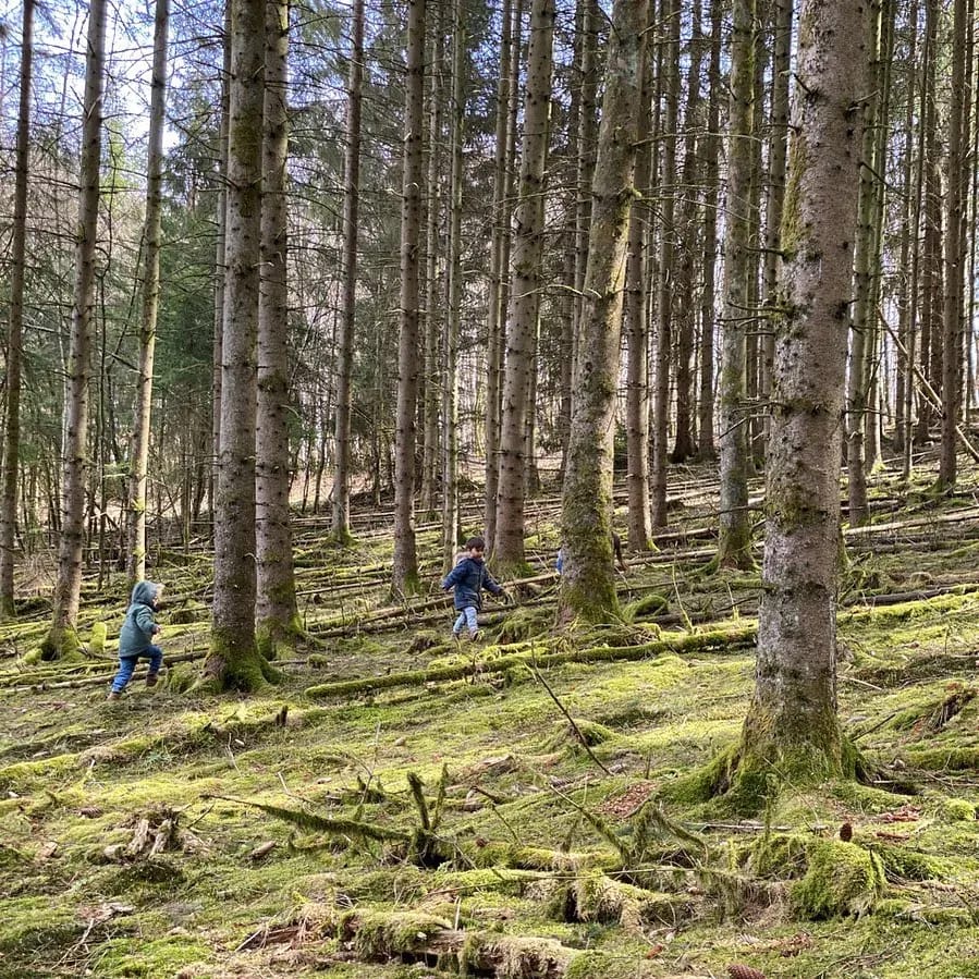 Wo geht am liebsten in den Wald? - Instagram Bild 1