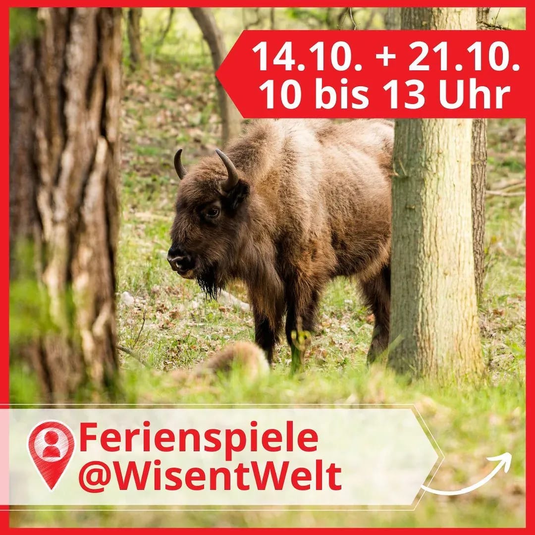 Ferienspiele in der #WisentWildnis!⁠ Mit @Jugend_blb [Unbeauftrage Werbung, unbezahlt]⁠⠀ - Instagram Bild 1