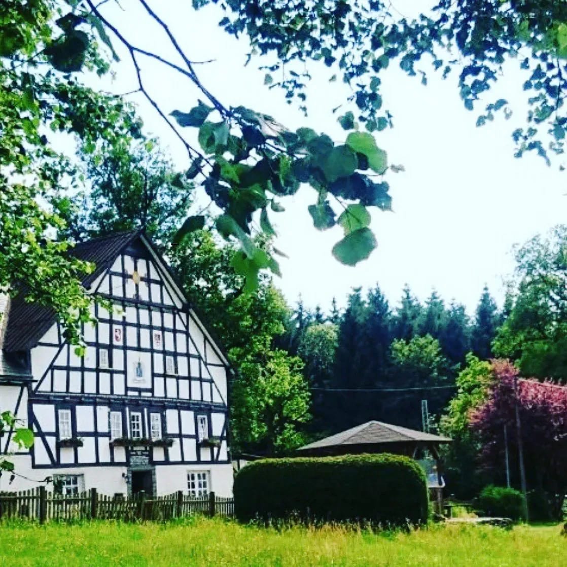 Weihnachtsbaumkauf im Scheiderwald beim Forstbetrieb Quast (Wenden). Bio-Weihnachtsbäumen, kleinen Streichelzo für die Kinder und Speis und Trank. - Instagram Bild 1
