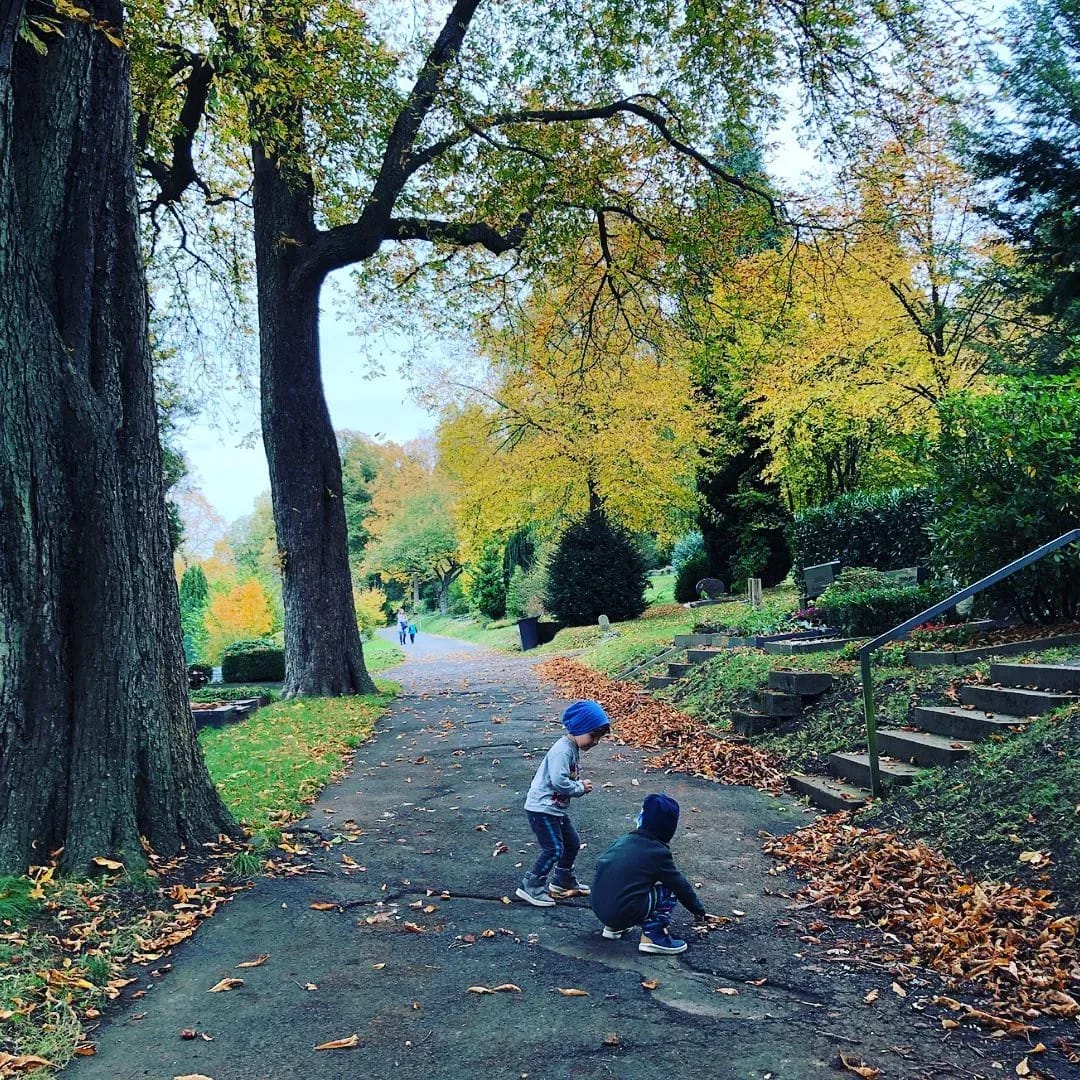 🌰Kastanien ‼️ - Instagram Bild 1