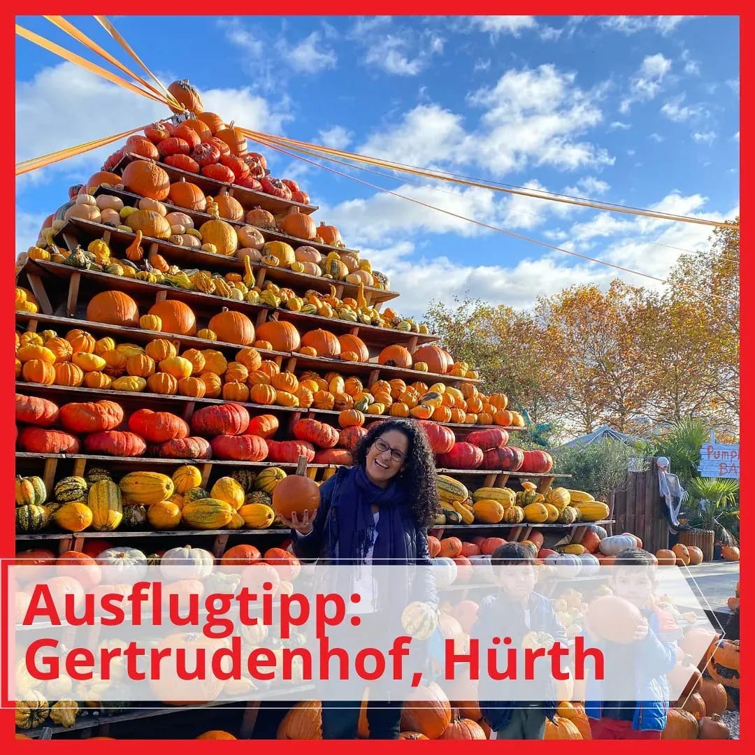 Heute haben wir uns vom Herbstmarkt im Gertrudenhof in Hürth verabschiedet. Ab nächsten Samstag, den 06.11., wird er zum "Winterzauber". Es wird eine große Weihnachtsausstellung geben, Christmas Candy Beach mit tollen Hüpfburgen, Glühweinhütte, Spielplatz und Gnadenhof-Streichelzoo. - Instagram Bild 1