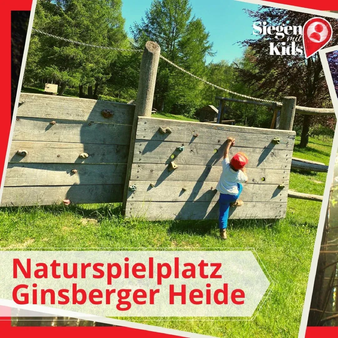 Hola! Gestern habe ich geschrieben: - Instagram Bild 1