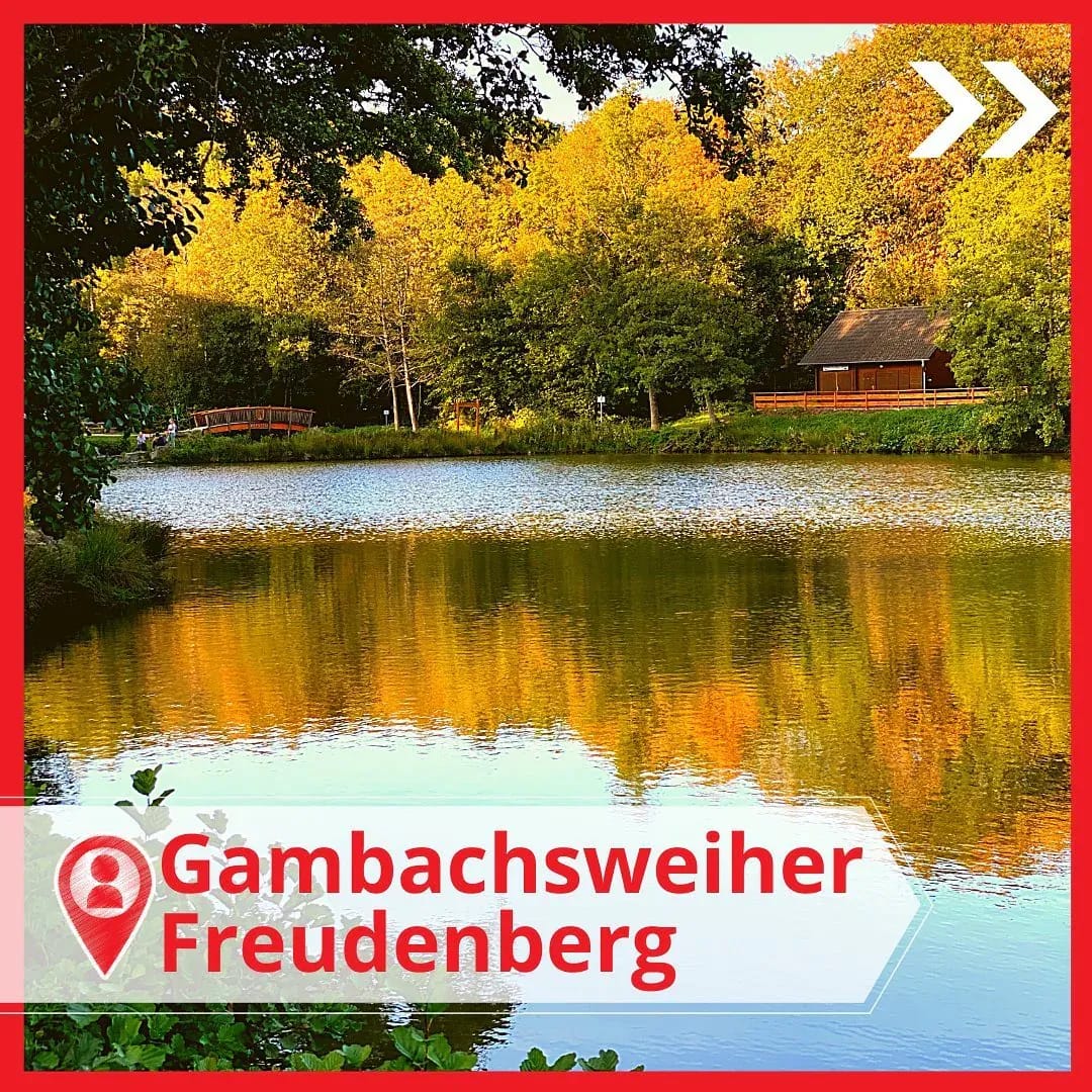 Buenos dias! Tja!😅 Am Ende sind wir gestern nicht nach Wissen gefahren, weil die Kinder lieber zum Freibad wollten. - Instagram Bild 1