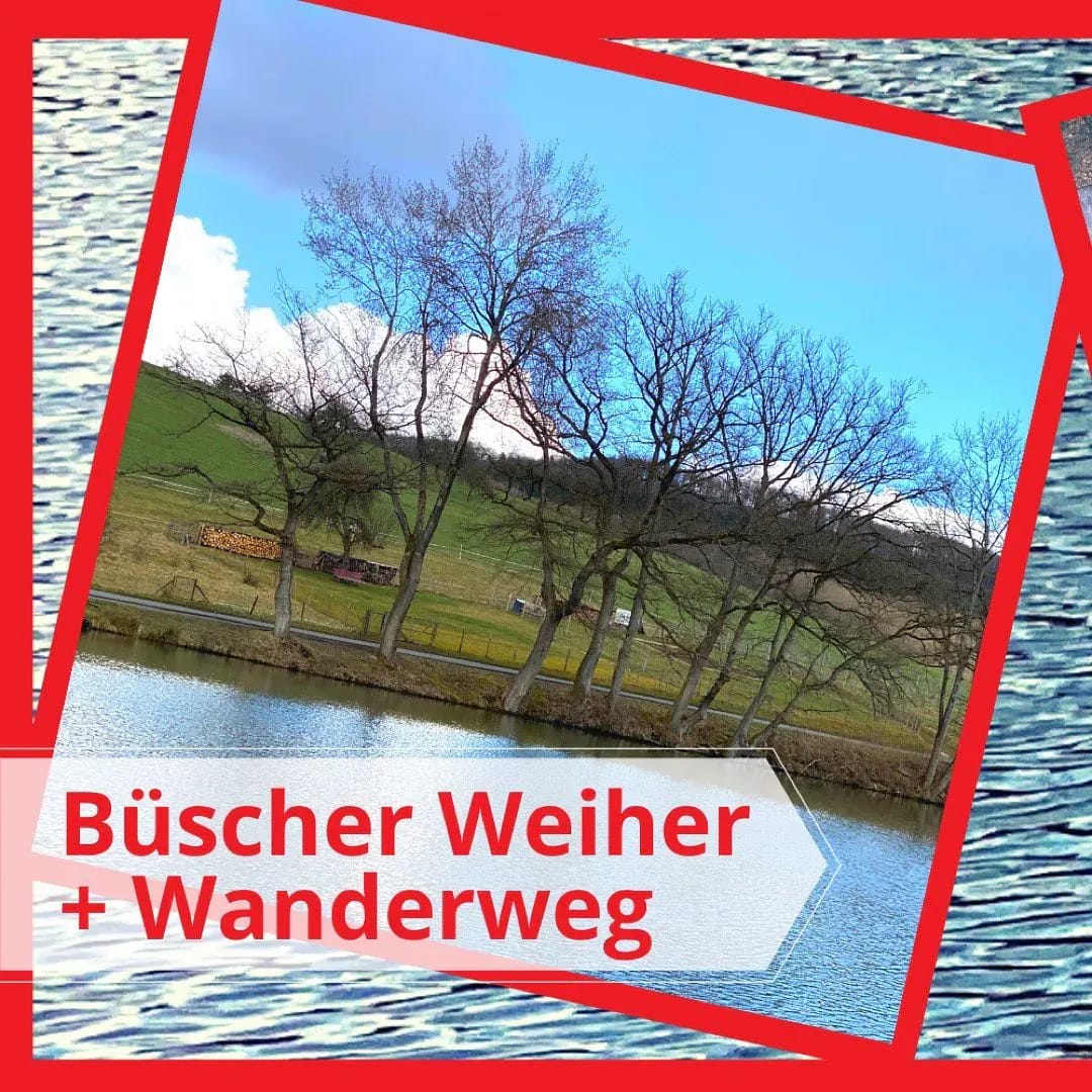 📌 Kennt ihr den Büscher Weiher? Dieser Spaziergang hat uns sehr gut gefallen! - Instagram Bild 1