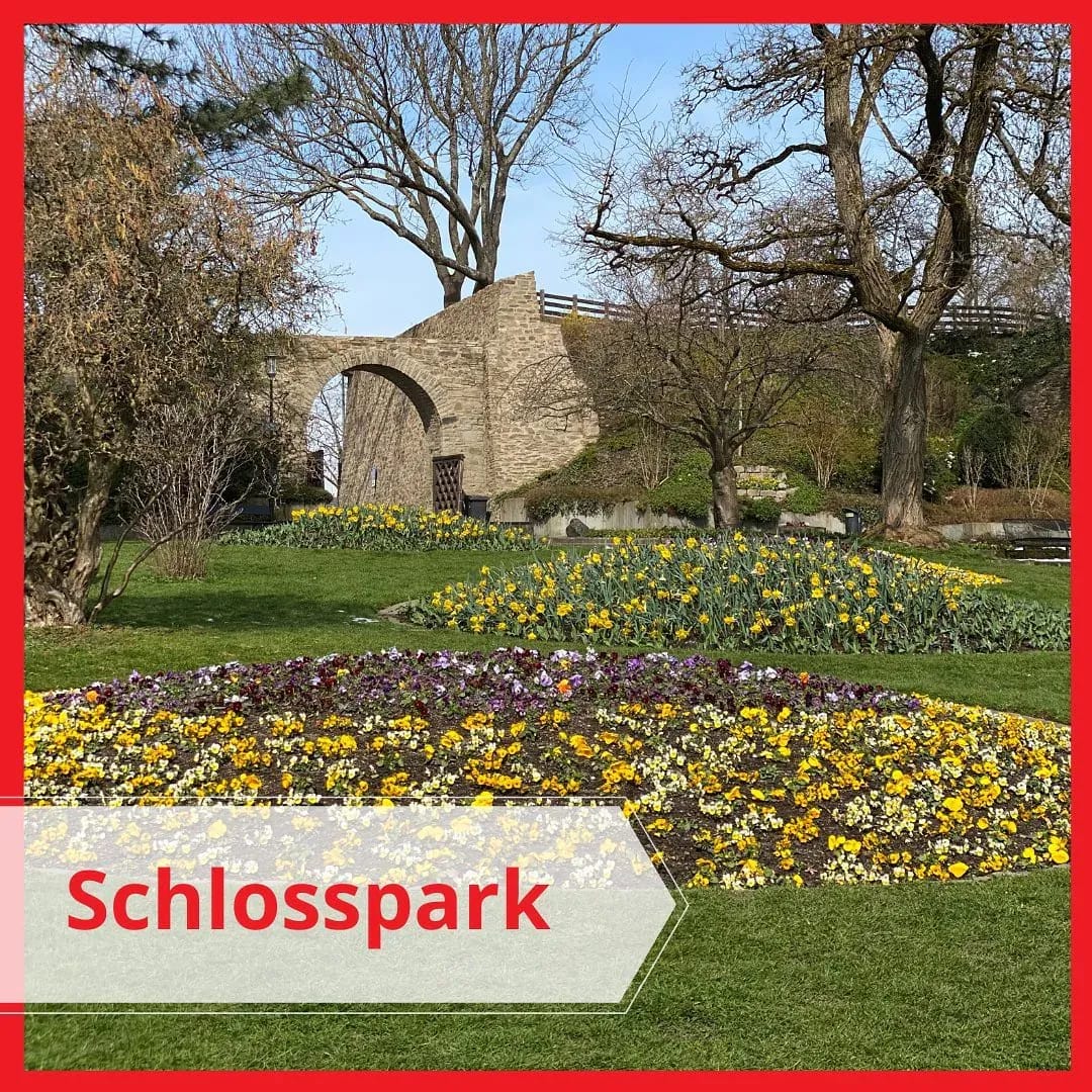 Wir waren wieder im Park des Oberen Schlosses! - Instagram Bild 1