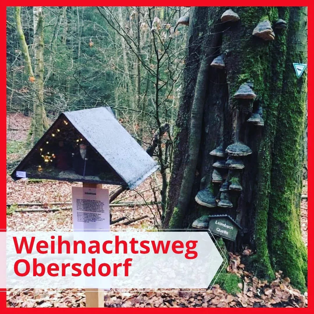 Habt ihr den Obersdorfer Weihnachtsweg schon besucht? - Instagram Bild 1