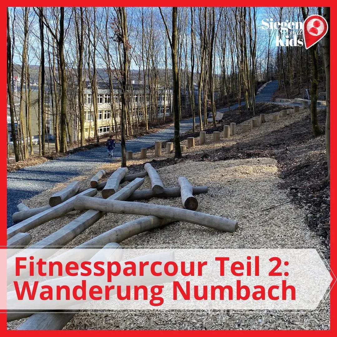 ❤️🌳 Fitness trifft Natur: die Wanderung‼️ - Instagram Bild 1
