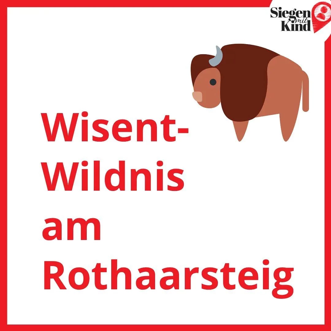 Heute sind wir am Rothaasteig, in der @Wisentwelt und haben viel Spaß! ❤️ - Instagram Bild 1