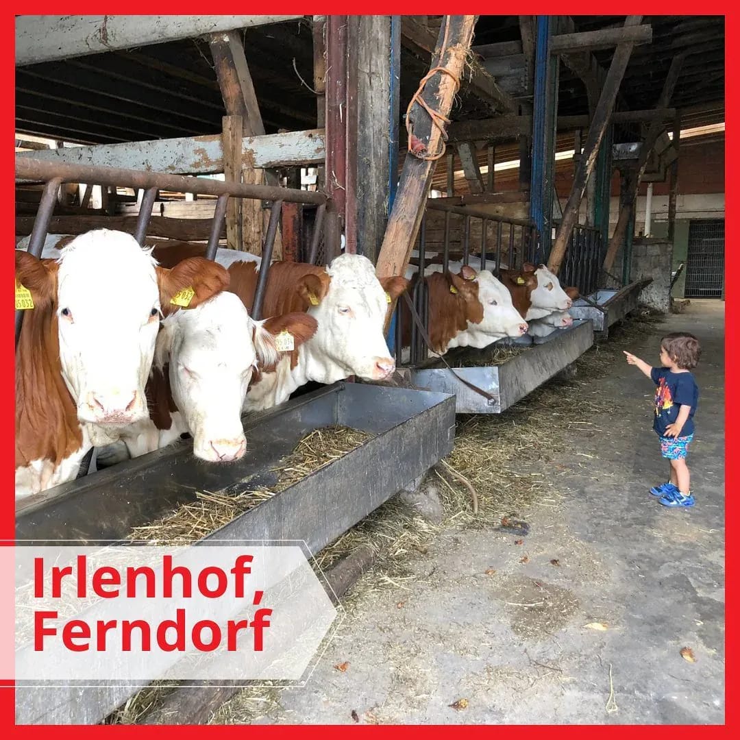 Wir lieben Bauernhöfe und unsere Favoriten in der nähe sind @hofladen_irlenhof und @birkenhofsiegerland. - Instagram Bild 1