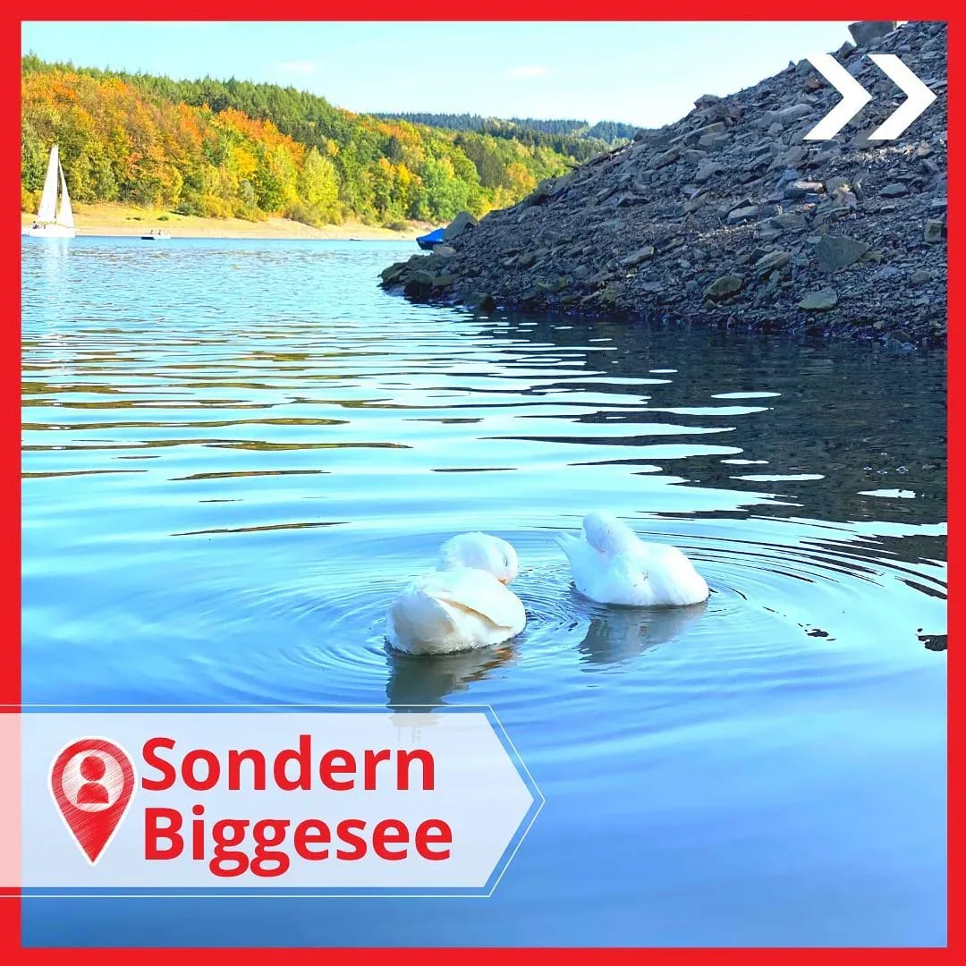 Si! Heute waren wir an der Bigge in Sondern, und hatten einen richtig schönen Tag! ☀️ - Instagram Bild 1