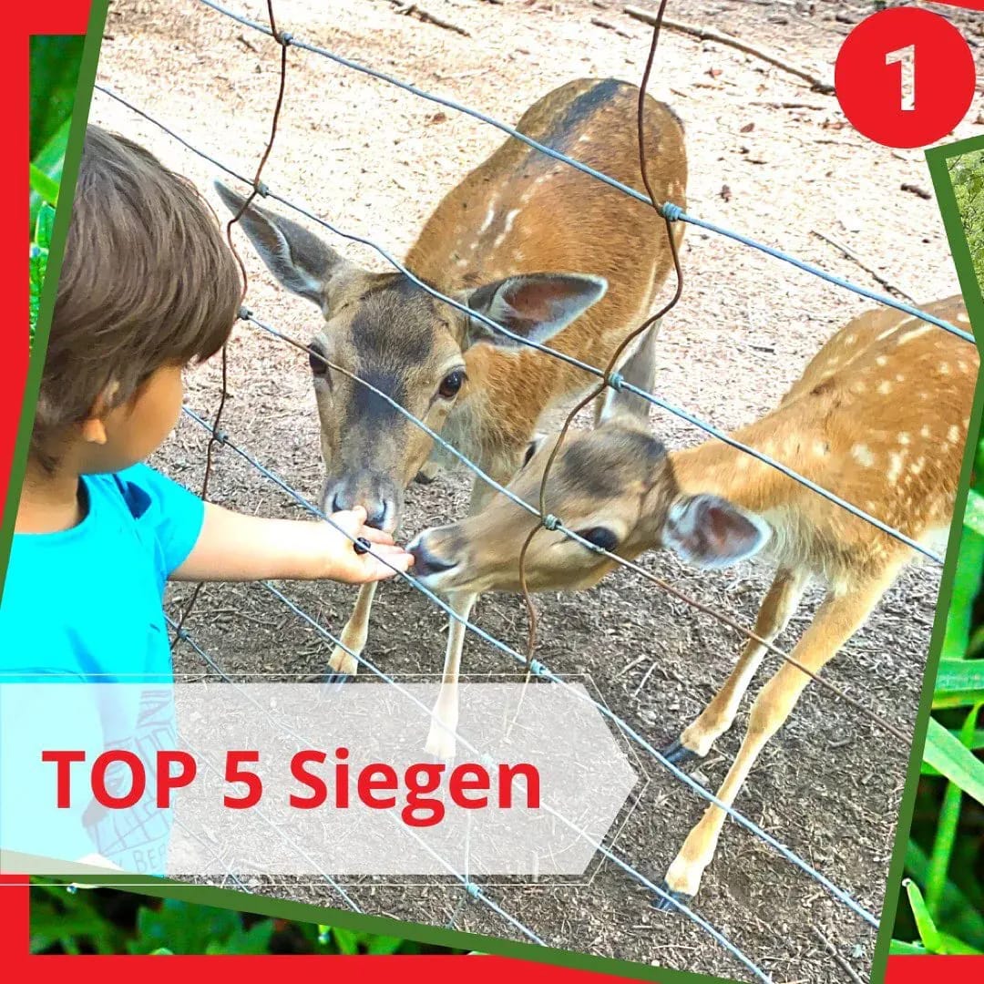 📌Wenn dich jemand, der noch nie in Siegen war, fragen würde, was es in Siegen zu sehen gibt, was würdest du antworten? - Instagram Bild 1