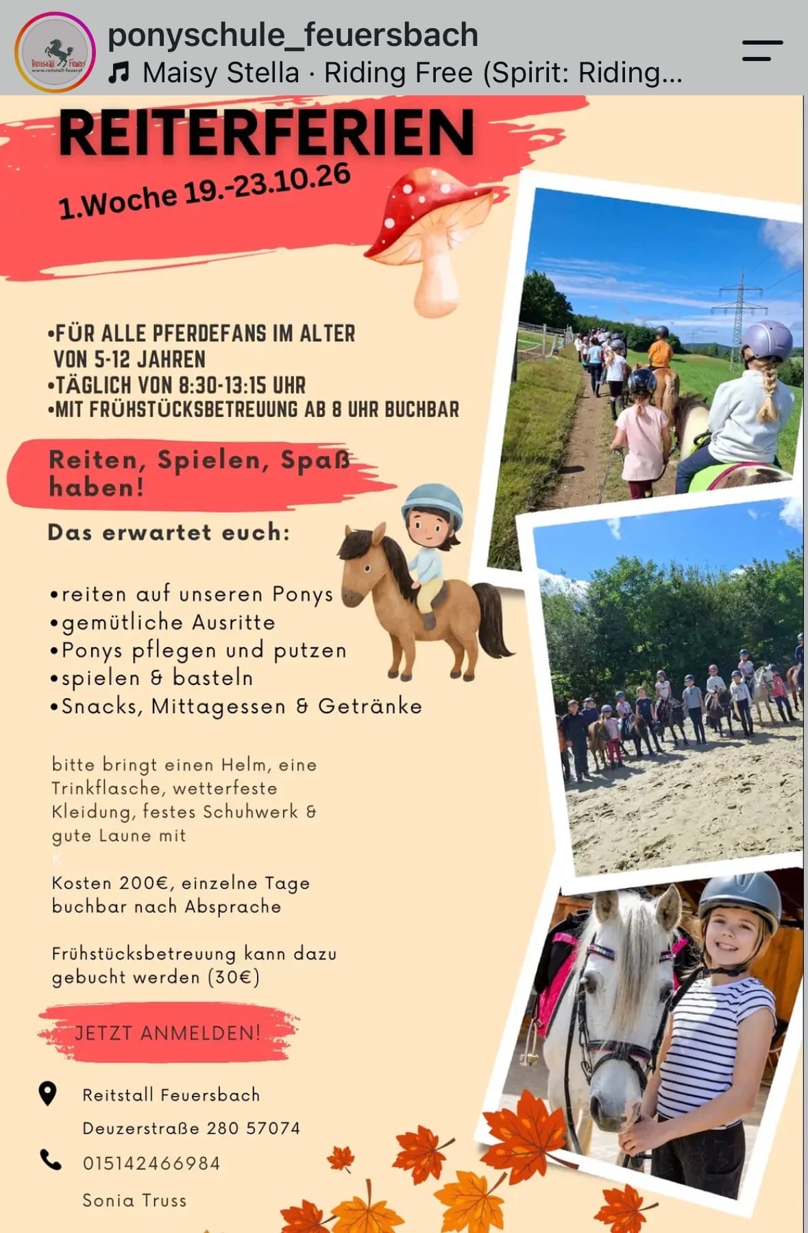 Reiterferien in Reitstall Feuersbach
