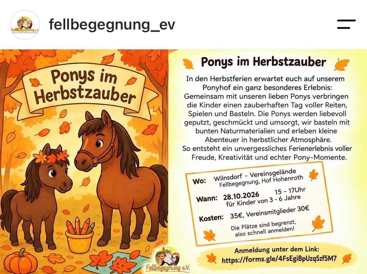 Ponys im Herbstzauber in Vereinsgelände Fellbegegnung, Hof Hohenroth