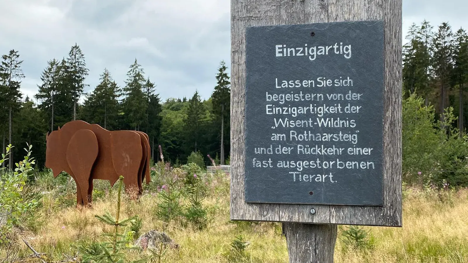 Heute sind wir am Rothaasteig, in der @Wisentwelt und haben viel Spaß! ❤️ - Instagram Bild 2