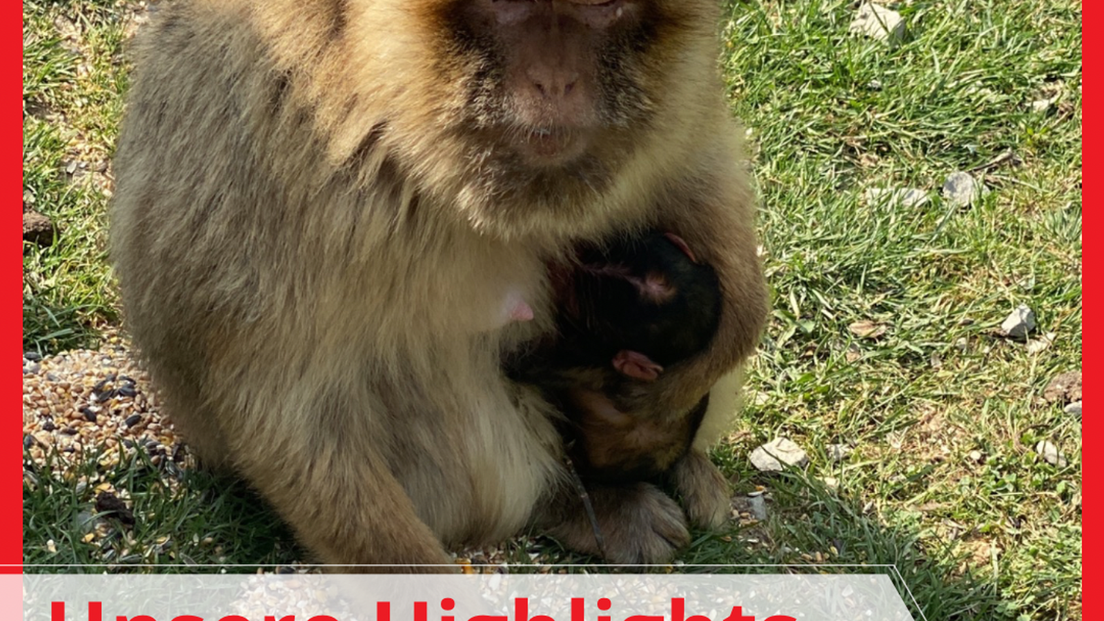 SiegenMitKids Medienbild