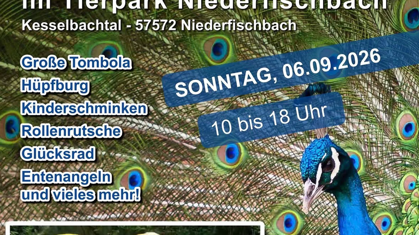 Kinderfest in Tierpark Niederfischbach