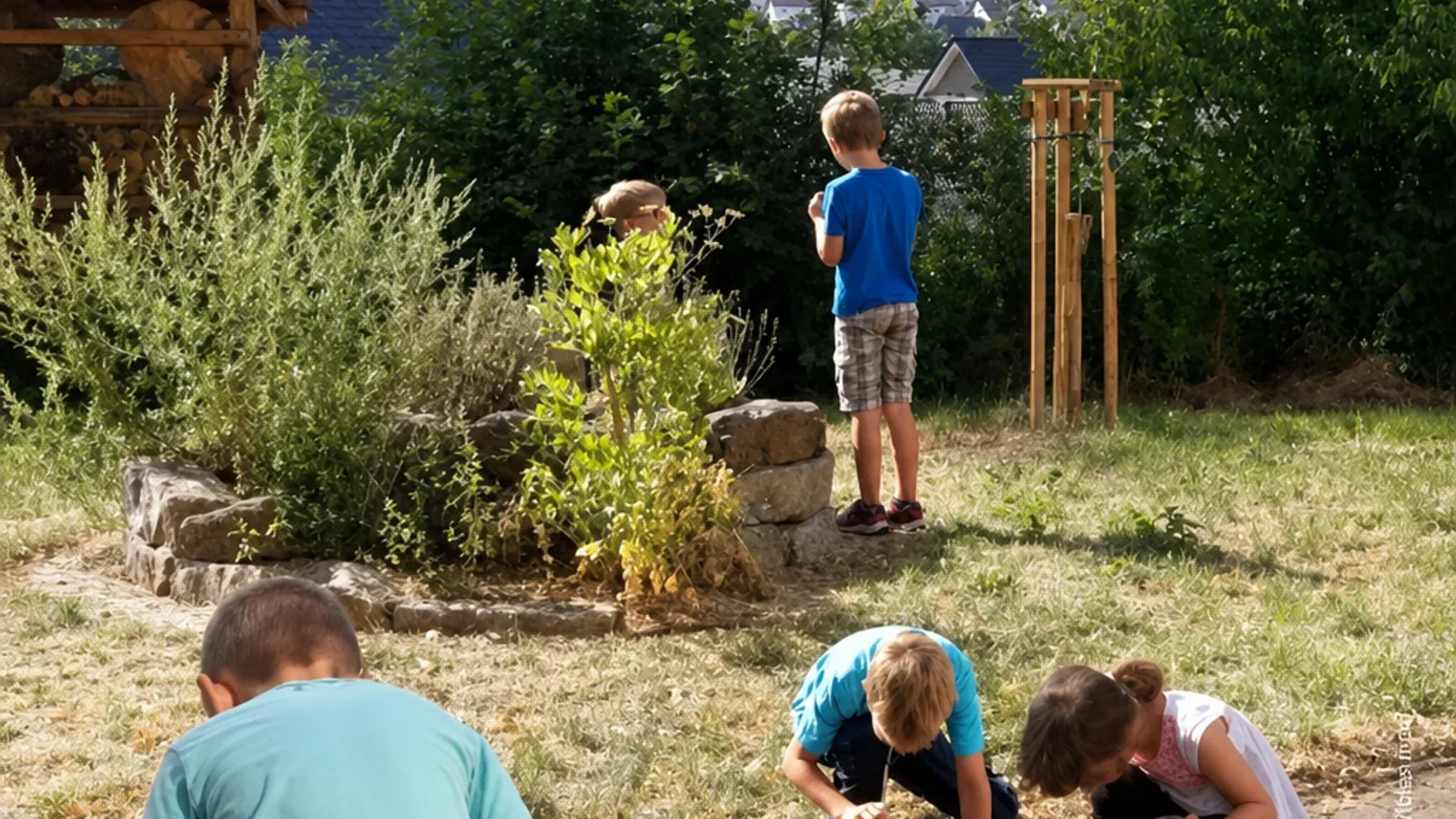 Ferienspiele: Was summt und brummt auf der Wildwiese? – für Kinder von 6-12 Jahren