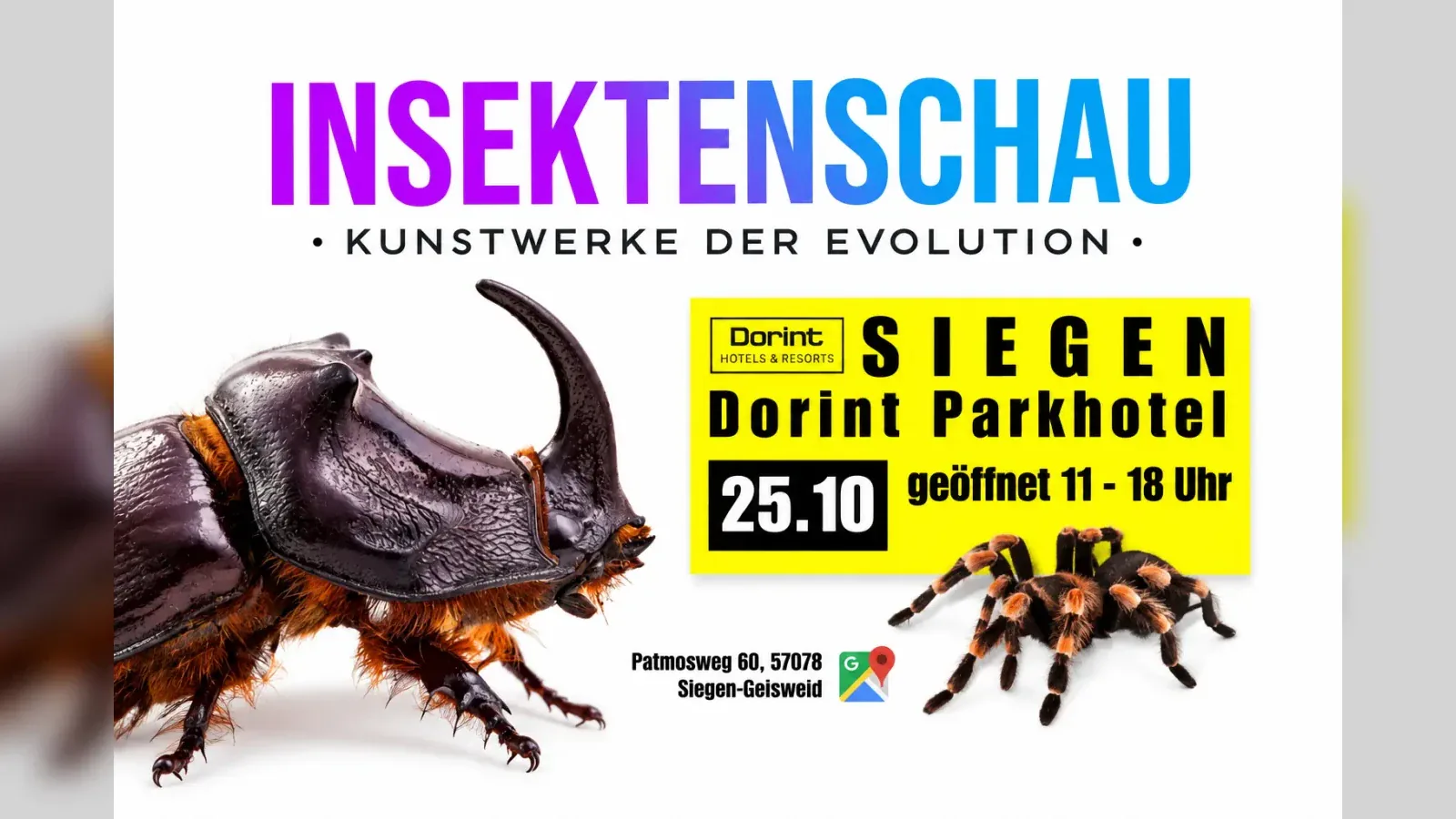 Hero-Bild für Insektenschau – Kunstwerke der Evolution