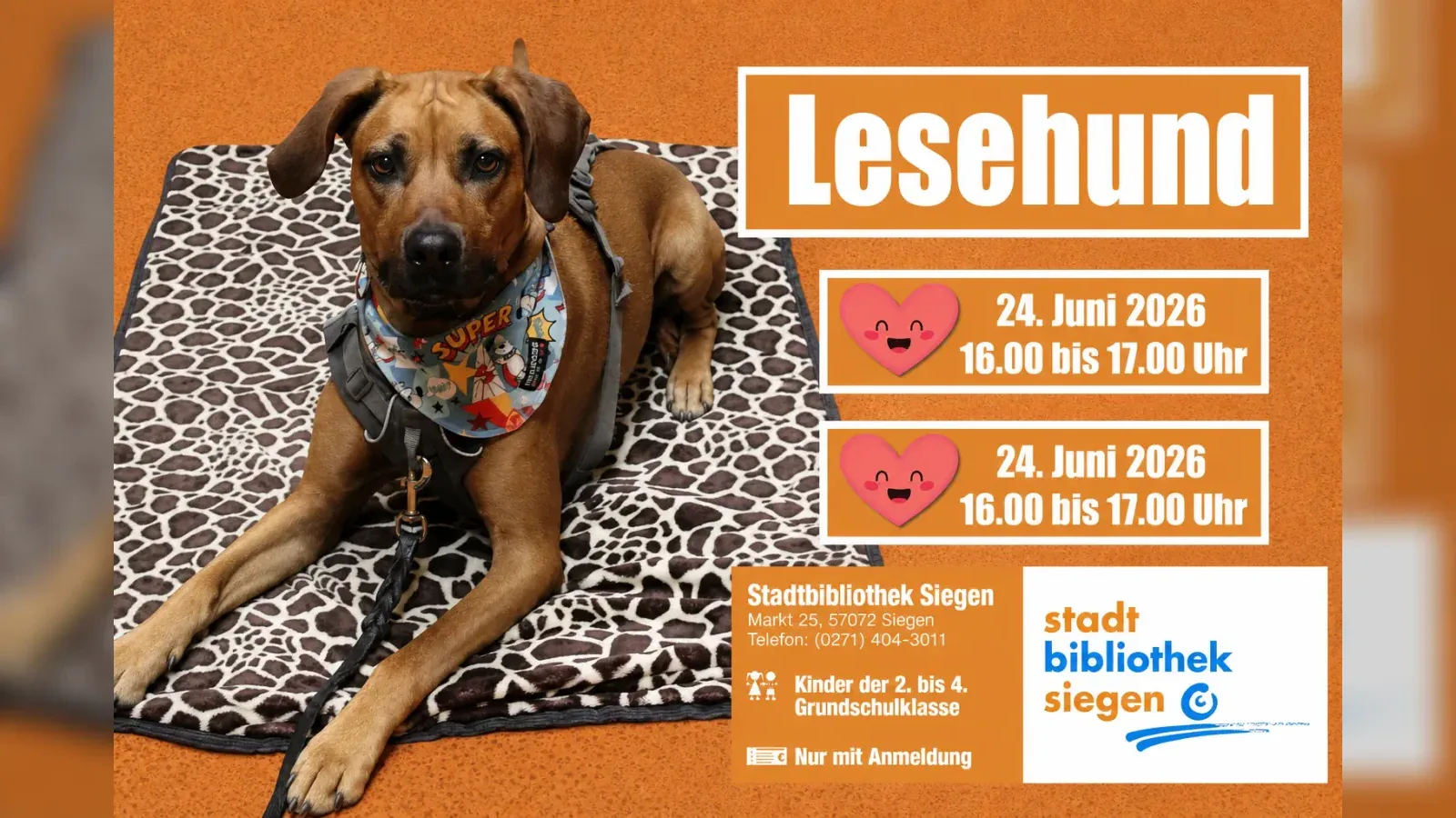 Hero-Bild für Lesehund