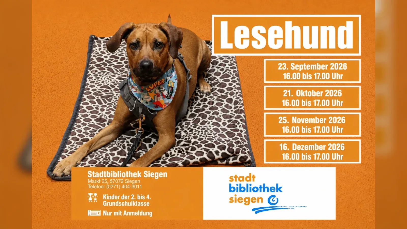 Hero-Bild für Lesehund