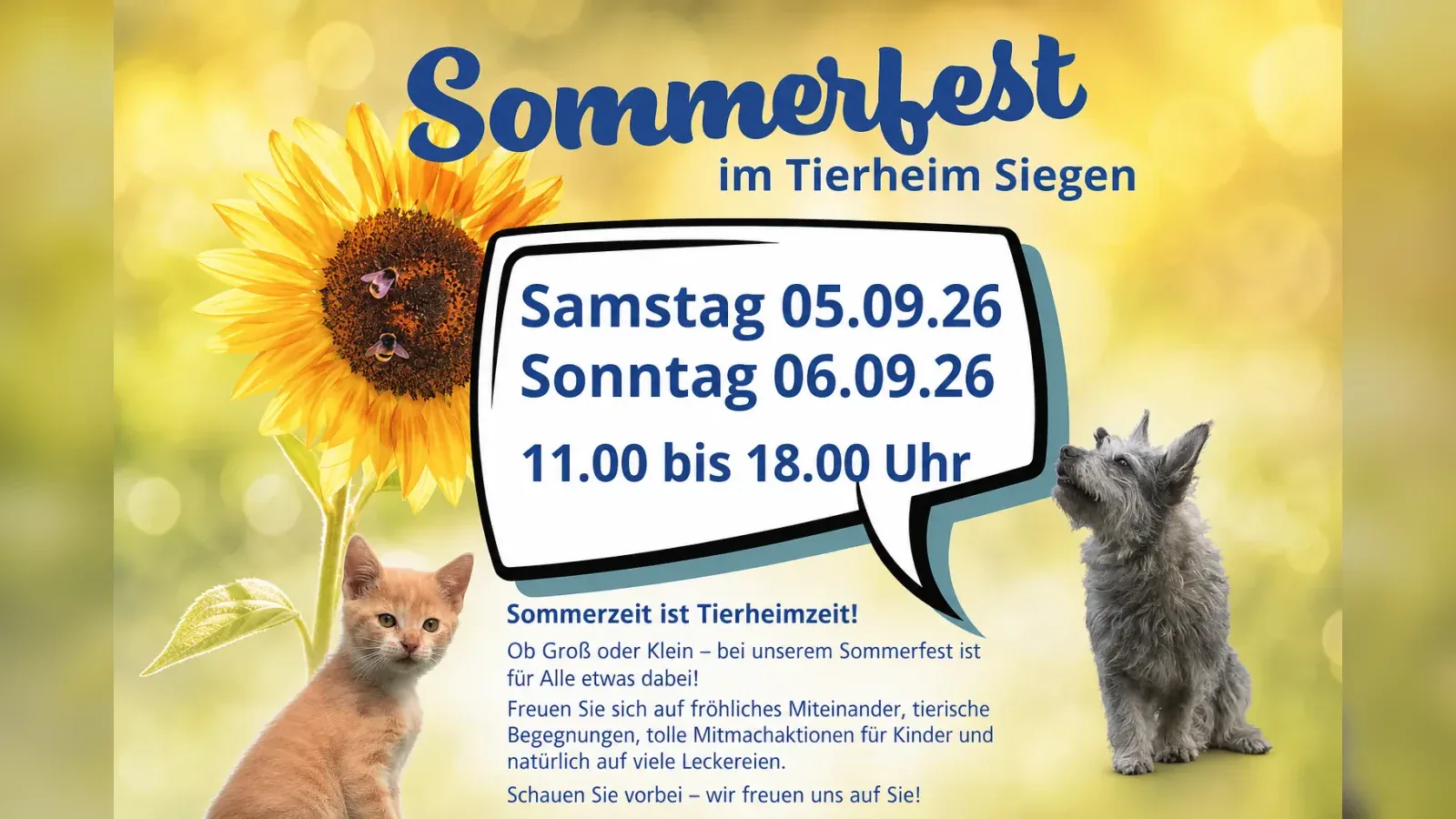 Hero-Bild für Sommerfest im Tierheim Siegen