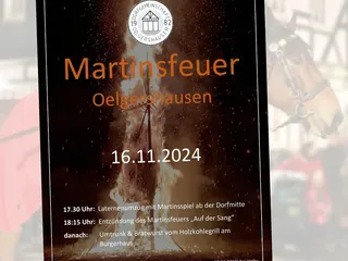 🤩 Teil 2: Martinszüge, Martinsfeuer, Lichterfeste 2024 - Instagram Bild 9