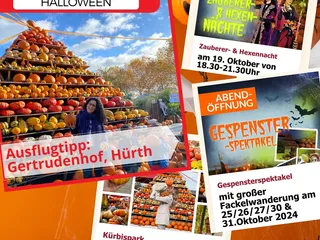🎃🤗 Hola und hier sind die Halloween-Events, Fackelwanderungen und Ausflüge, die ich für euch gefunden habe - perfekt für Kids und Familien und nicht weit von Siegen entfernt! 👌🏽 - Instagram Bild 6