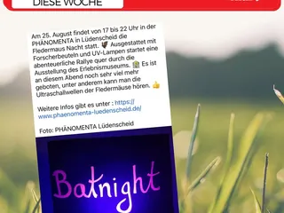 💫Das Highlight der Woche ist definitiv das Stadtfest in Siegen, mit vielen Aktionen für Familien, wir freuen uns riesig darauf! 🤩🥳❤️ Am Sonntag bin ich am Stand des @DRKKreisverband -es mit der Aktion “Dance for music”, wenn ihr uns seht, sagt Hola! - Instagram Bild 4