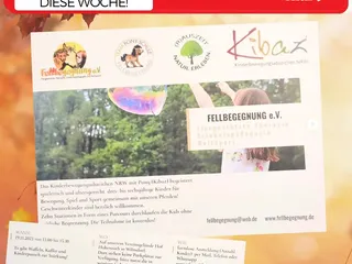 Hola! 🤗 Hier wieder ein paar Highlights der Woche für euch! ❤️ - Instagram Bild 6