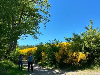 🤗 Heute war es wieder richtig schön in #Siegen! - Instagram Bild 7