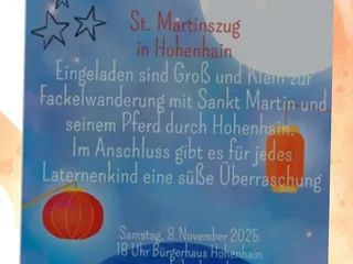 Hier sind die Martinszüge in und um Siegen: - Instagram Bild 6