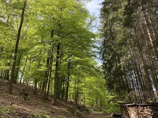 Spielerisch die Natur entdecken: Raus an die Frische Luft! - Instagram Bild 2