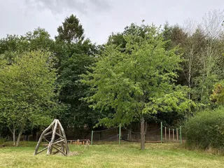 Heute waren wir kurz auf dem „Spielplatz am Hamberg“ 👌🏽 - Instagram Bild 2