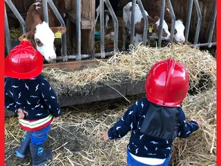 Wir lieben Bauernhöfe und unsere Favoriten in der nähe sind @hofladen_irlenhof und @birkenhofsiegerland. - Instagram Bild 4