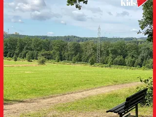 Gestern haben wir wieder den Erlebniswald Historischer Tiergarten besucht. Da ist er, schön wie immer! - Instagram Bild 7