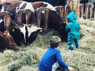 ☀️ Heute ist ein schöner Tag um einen Bauernhof zu besuchen! 🐄🐓 - Instagram Bild 2