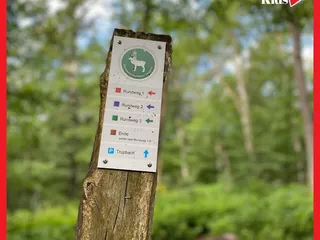 Gestern haben wir wieder den Erlebniswald Historischer Tiergarten besucht. Da ist er, schön wie immer! - Instagram Bild 2