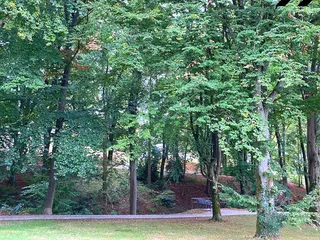 Wir präsentieren! - Instagram Bild 6