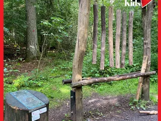 Gestern haben wir wieder den Erlebniswald Historischer Tiergarten besucht. Da ist er, schön wie immer! - Instagram Bild 4