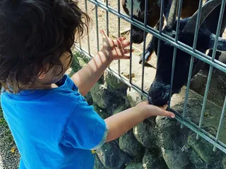 Hi there! Heute sind wir wieder im  @affenundvogelparkeckenhagen! Die Kids lieben es hier und dadurch dass wir die Jahreskarte haben, lohnt es sich total für uns. - Instagram Bild 2
