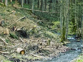 Es ist soooo schön, hier bei euch zu sein! Der letzte Spielplatz, den wir in Brachbach besucht haben, war ein Tipp von euch, und dann kam dieser andere Tipp: - Instagram Bild 4