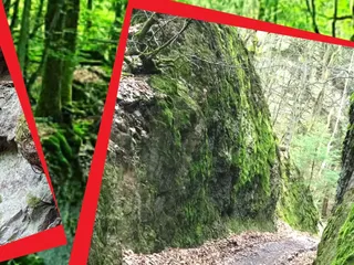 ...und vom Parkplatz unterhalb des Tierparks wandert man über Waldwege entlang des Otterbachs… - Instagram Bild 3