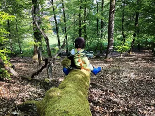 Spielerisch die Natur entdecken: Raus an die Frische Luft! - Instagram Bild 1