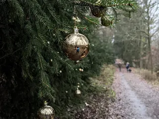 🎄🎅🏼Wir haben so viel schönes über den Weihnachtsweg in Bürbach gehört und dann diese tolle Bilder von @meinherztraegtkrone bekommen, weil wir leider selber momentan den Weg nicht wandern können (Vielen lieben Dank dafür ❤️). - Instagram Bild 7