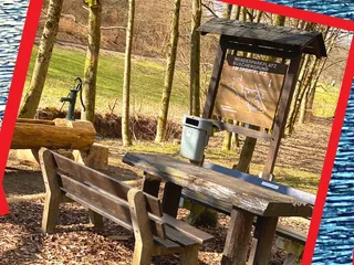 📌 Kennt ihr den Büscher Weiher? Dieser Spaziergang hat uns sehr gut gefallen! - Instagram Bild 3