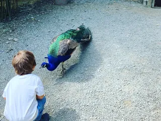Hi there! Heute sind wir wieder im  @affenundvogelparkeckenhagen! Die Kids lieben es hier und dadurch dass wir die Jahreskarte haben, lohnt es sich total für uns. - Instagram Bild 5